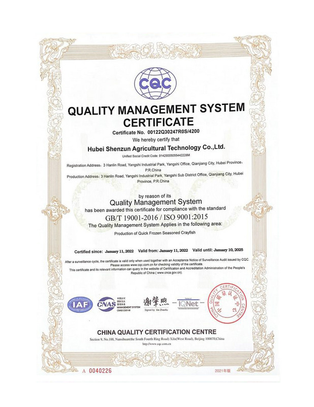 质量管理体系证书(英文版)